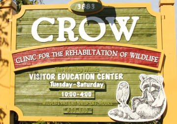 Clinic for the Rehabilitation of Wildlife (CROW) Photo
