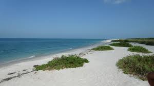 Sanibel Island FL condo rentals