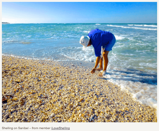 Sanibel Island #1 Among the Top 10 Best U.S. Shelling Beaches