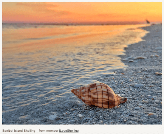 Sanibel Island #1 Among the Top 10 Best U.S. Shelling Beaches