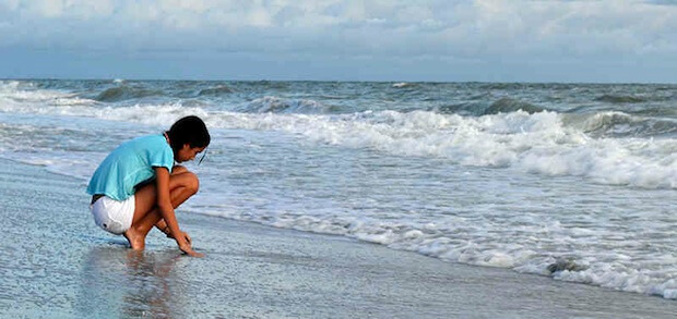 Collecting Sanibel Island shells