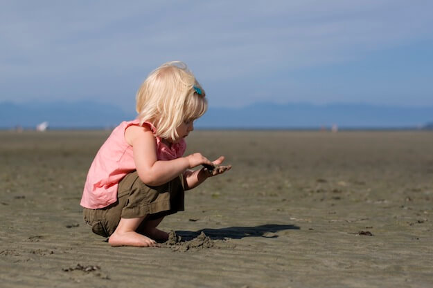 Best Shells at Bowman's Beach on Sanibel Island