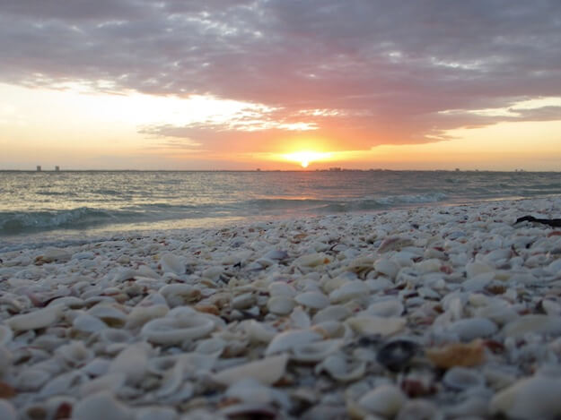 Best shells to be found are at Sanibel Island beach