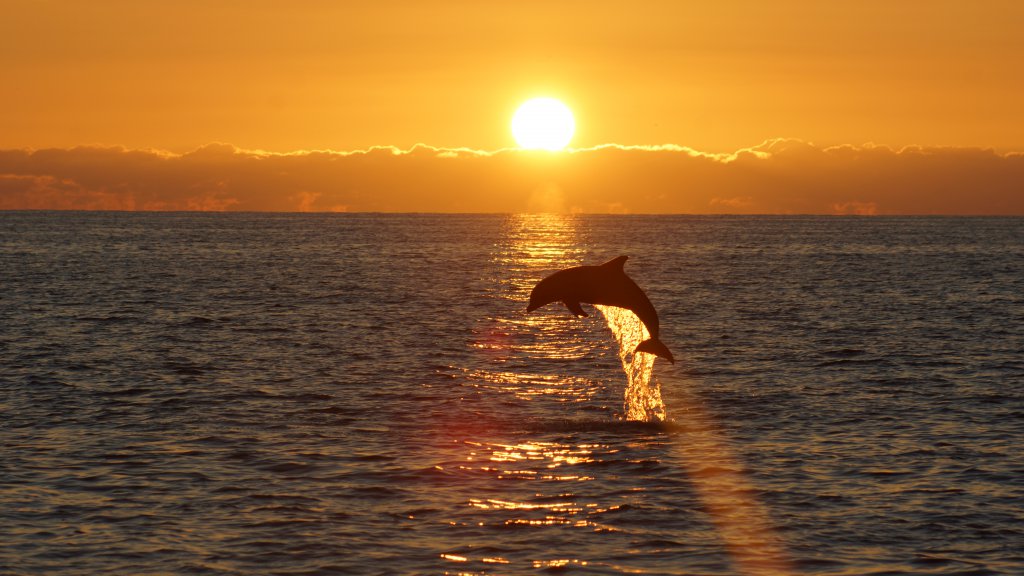 Fall on Sanibel Island is the Best