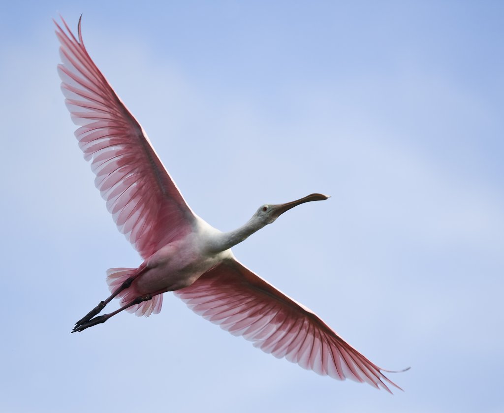 October is a Great Month to Visit Sanibel Island