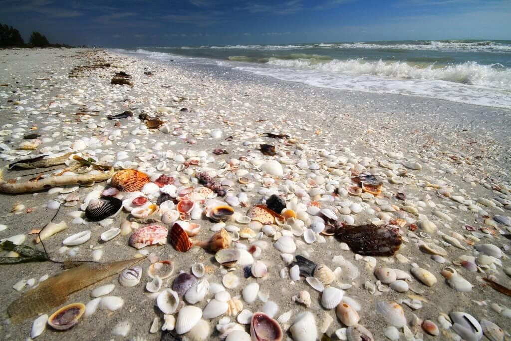 What to Do on A Rainy Day on Sanibel Island