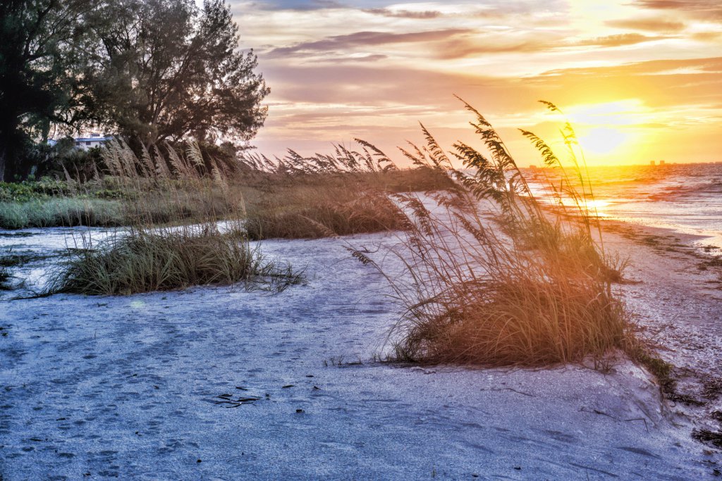 Visit Sanibel Island to Find Amazing Shells