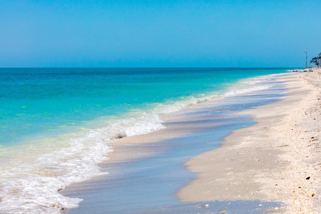 The Painted Shells on Sanibel Island