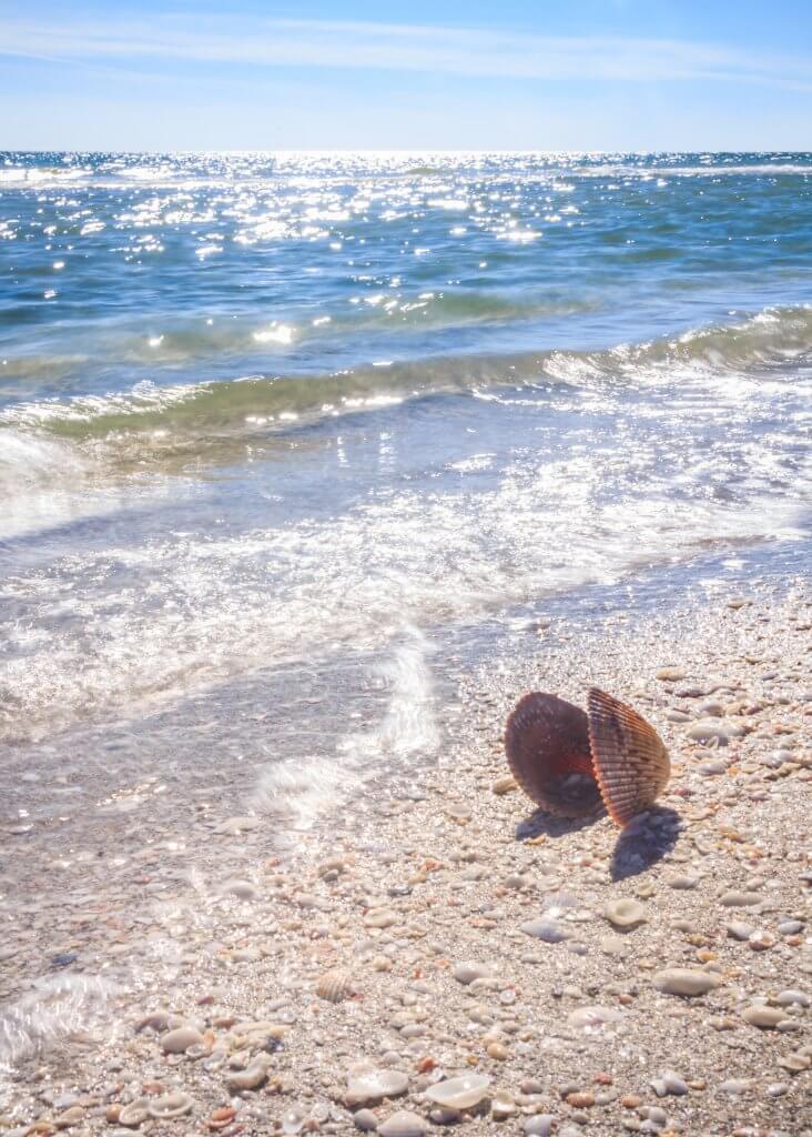 Spend Valentine’s Day on Sanibel Island this Year