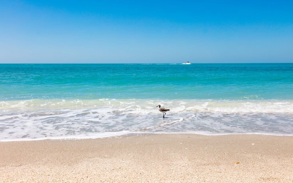 Beach and sand, water and ship, bird and blue sky, seagull in water, Sanibel Island, Florida